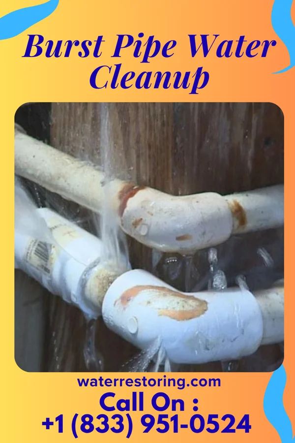 Burst Pipe Water Cleanup in Gilbert, WV