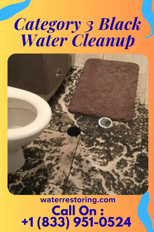Category 3 Black Water Cleanup in Gilbert, WV