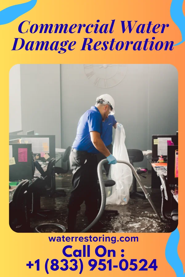 Commercial Water Damage Restoration in Gilbert, WV