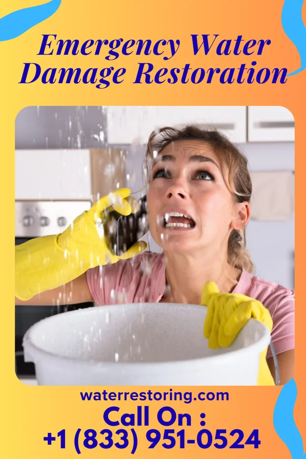 Emergency Water Damage Restoration in Gilbert, WV