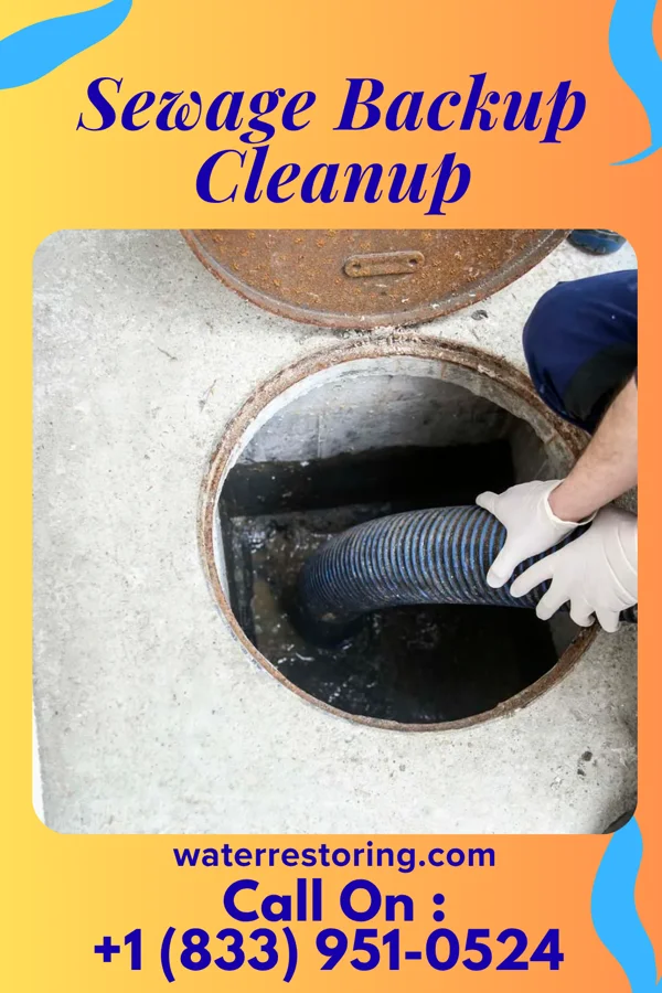 Sewage Backup Cleanup in Gilbert, WV
