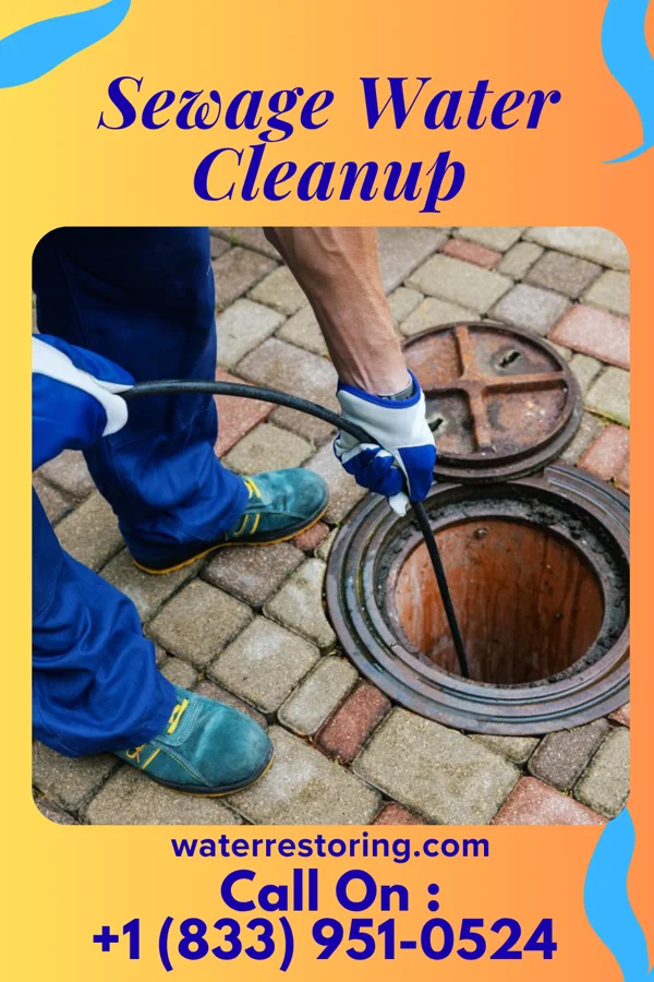 Sewage Water Cleanup in Gilbert, WV