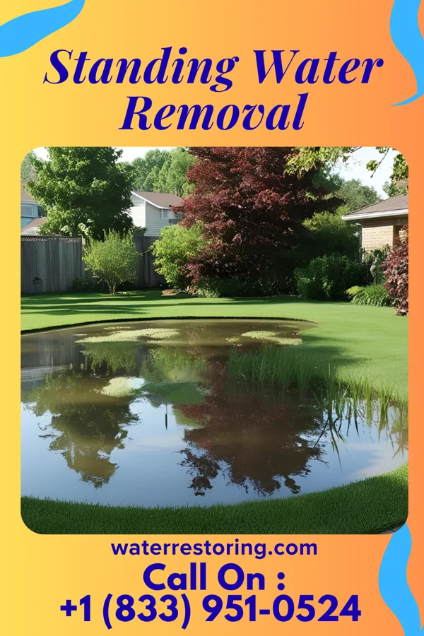 Standing Water Removal in Gilbert, WV